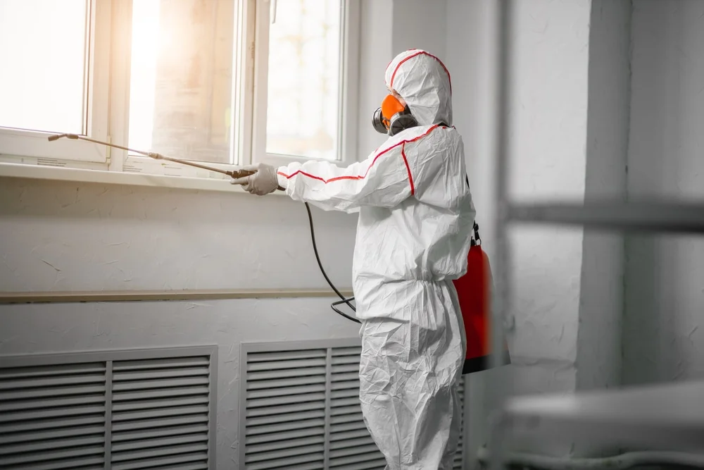 Professional mold remediation services in Corydon, IN